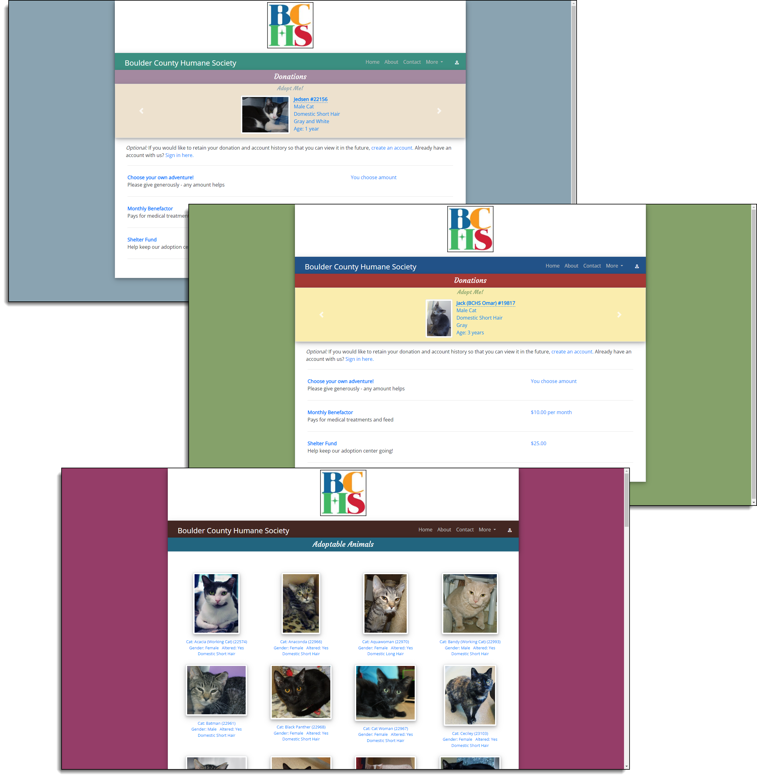 screenshot of Shelter Boss